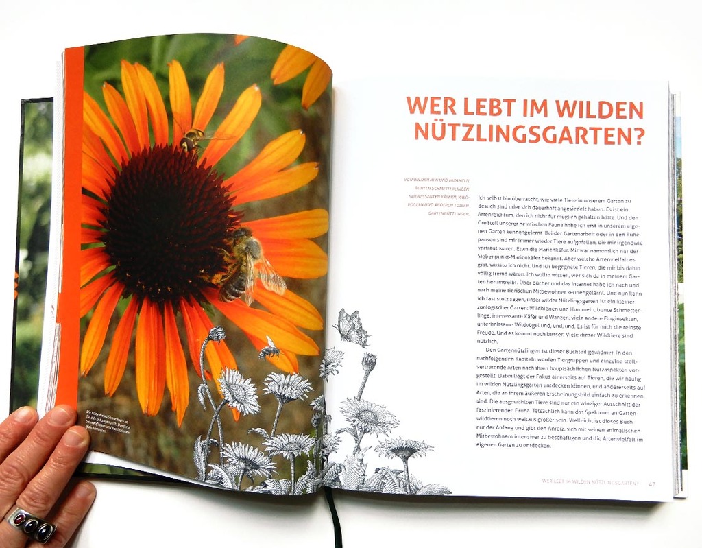 S. Schwingesbauer . Verlag Löwenzahn • S. Schwingesbauer