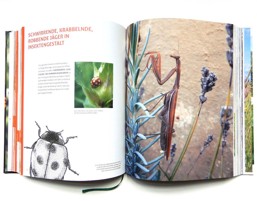 S. Schwingesbauer . Verlag Löwenzahn • S. Schwingesbauer