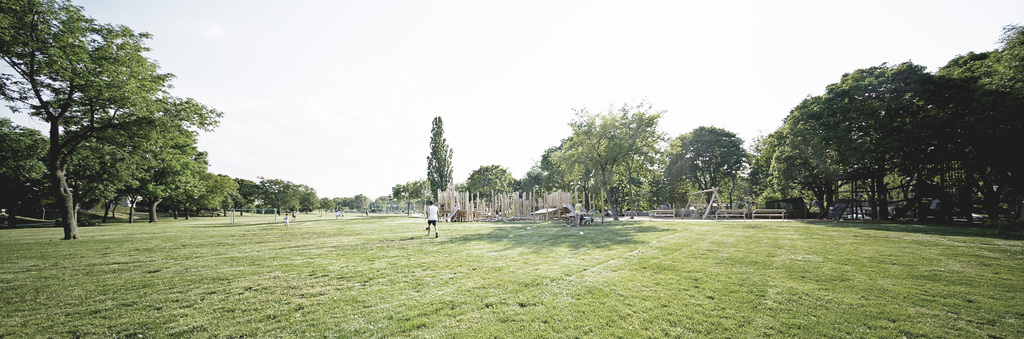 Vogelperspektive eines Stadtparks