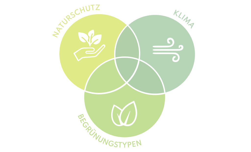 Die 3 Faktoren / © DnD