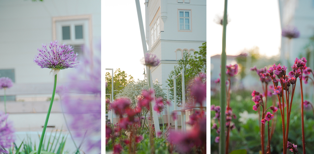 ©DnD GmbH / Rhea Dessovic