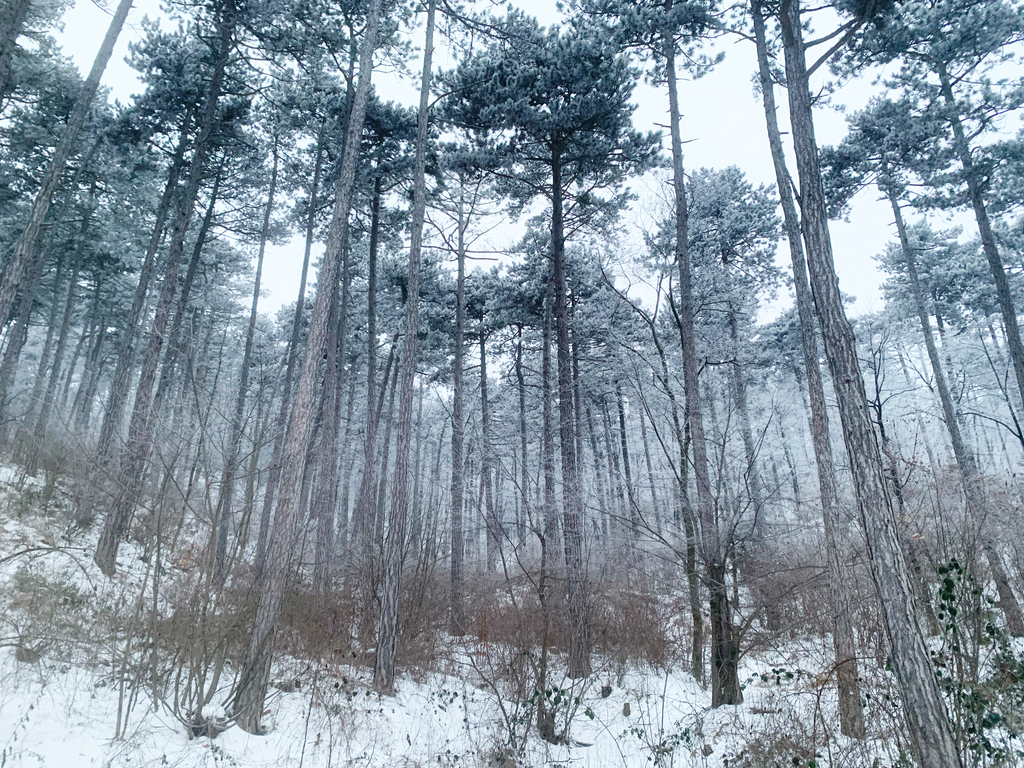 ©DnD GmbH / Sabine Dessovic