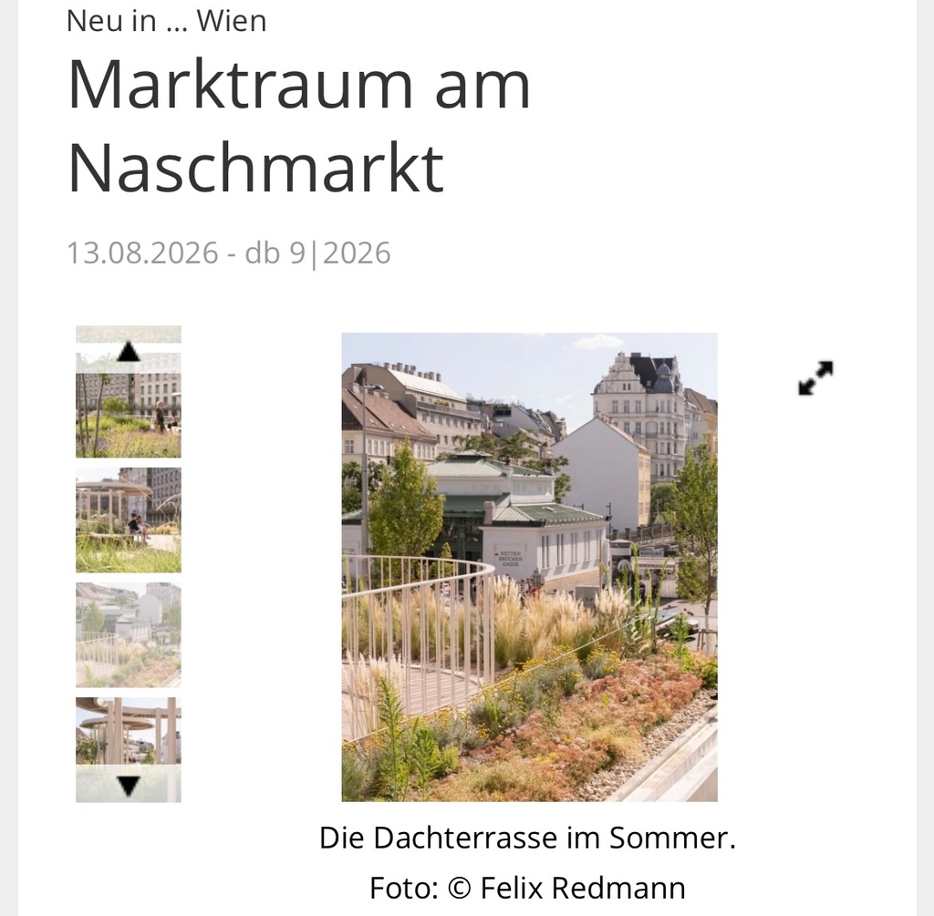 ©ss deutsche bauzeitung