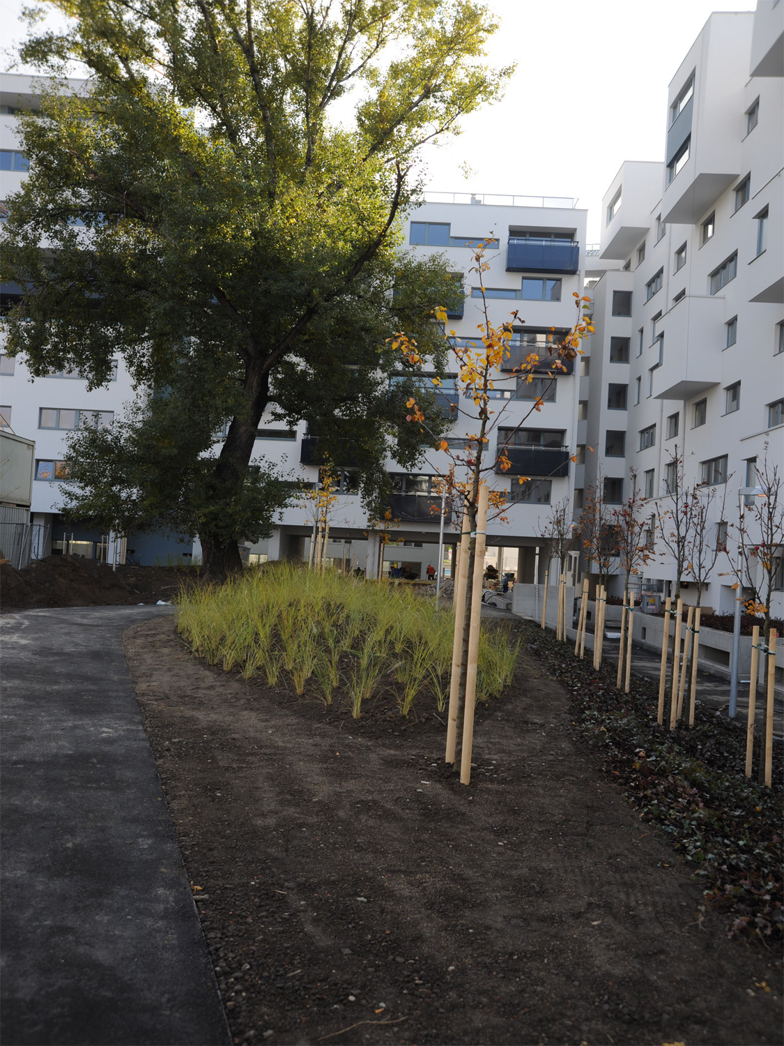DnD Landschaftsplanung ZT KG • DI Anna Detzlhofer & DI Sabine Dessovic